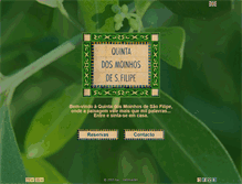 Tablet Screenshot of moinhossaofilipe.com